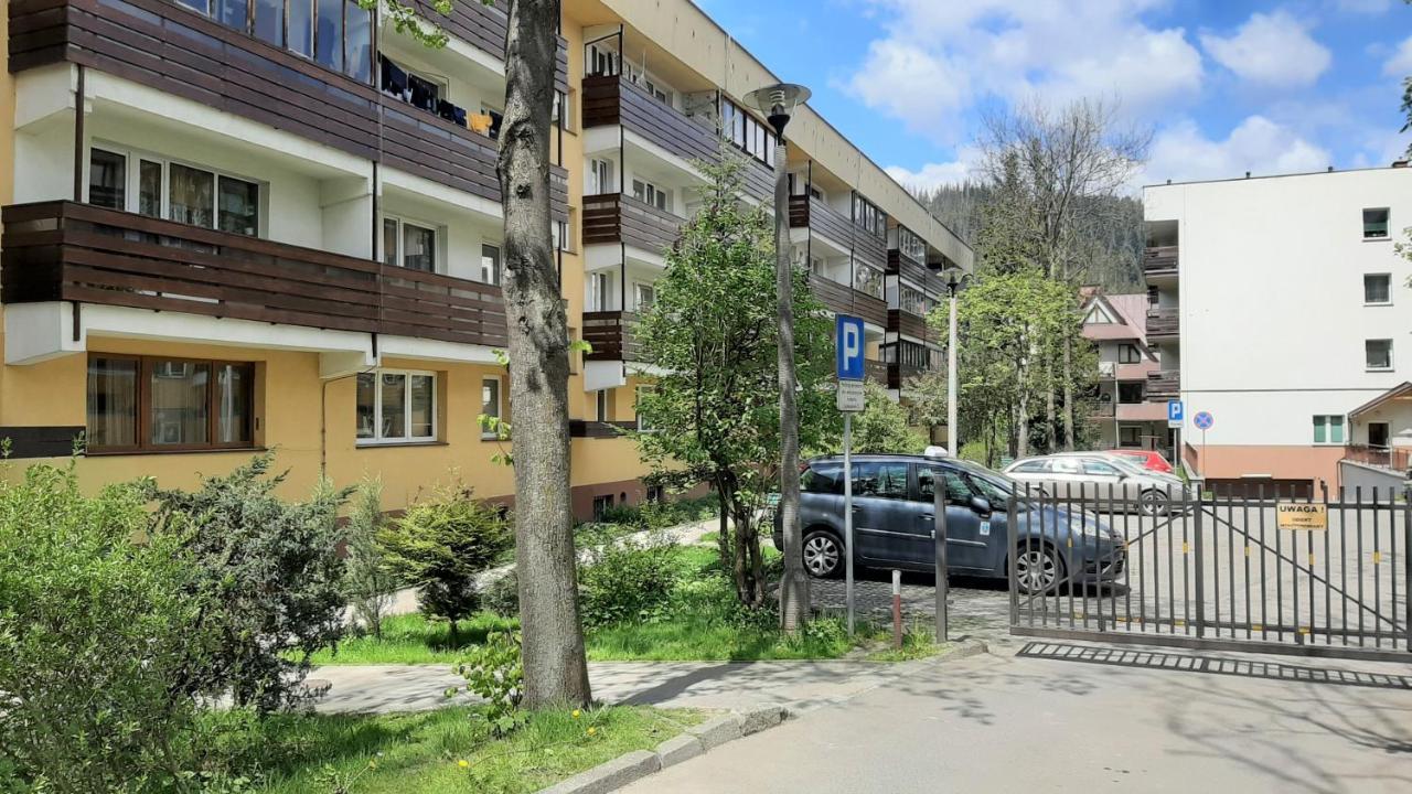 Studio Mila I Nido W Centrum Apartzakop 扎科帕内 外观 照片