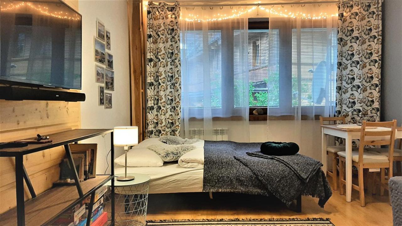 Studio Mila I Nido W Centrum Apartzakop 扎科帕内 外观 照片