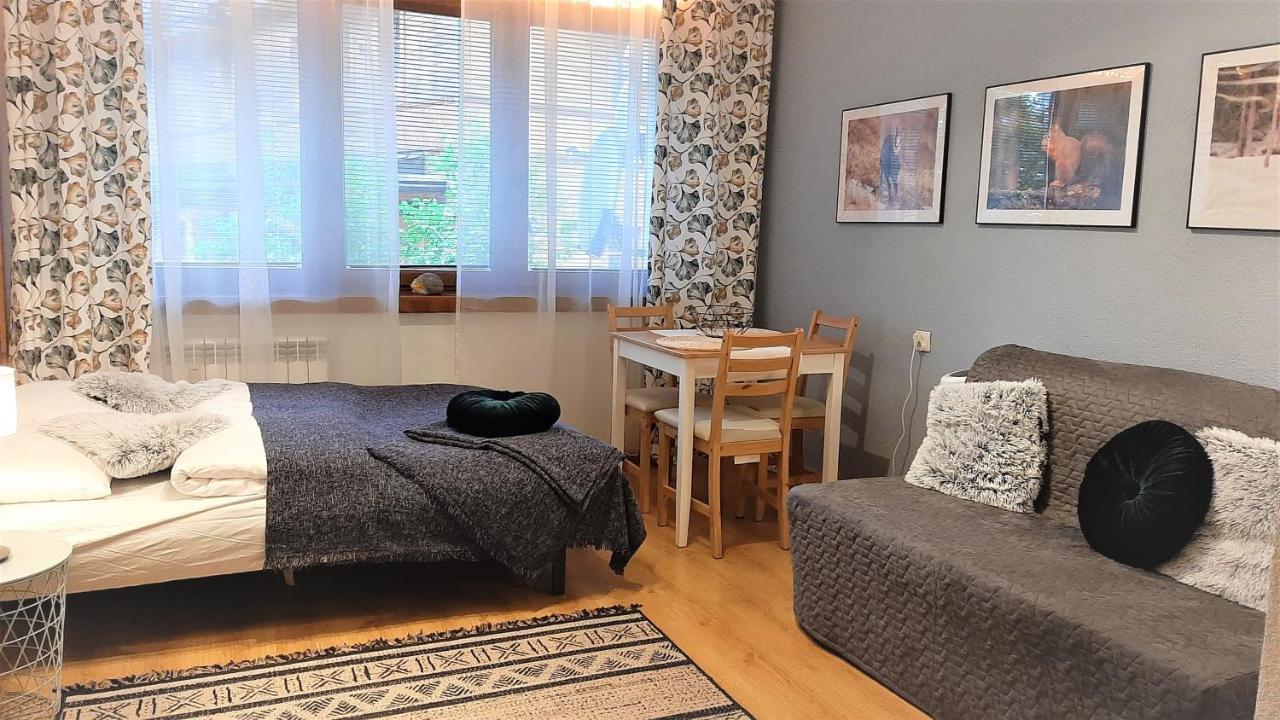 Studio Mila I Nido W Centrum Apartzakop 扎科帕内 外观 照片